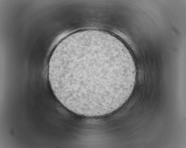 X0000116021366200912312145