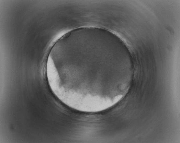 X0000116021367200912312145