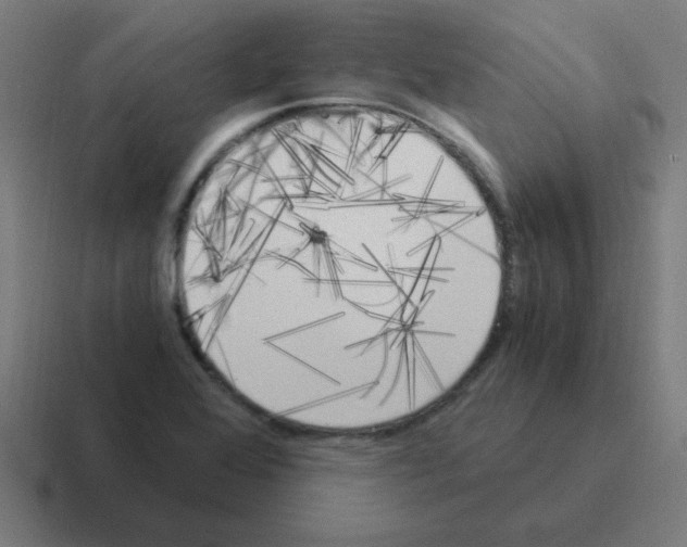 X0000116021368200912312145