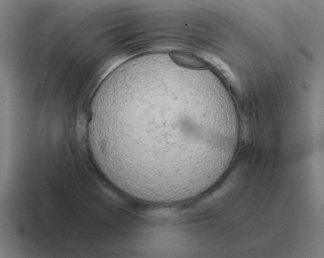 X0000116021369200912312145