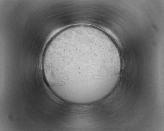 X0000116021372200912312144