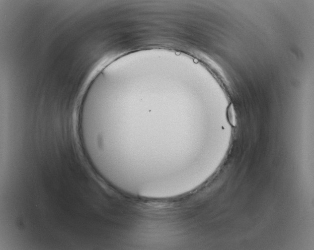 X0000116021373200912312144