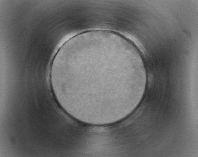 X0000116021374200912312144