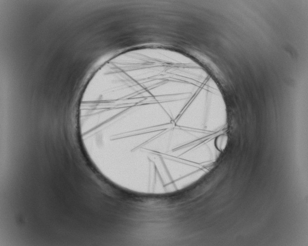 X0000116021375200912312144