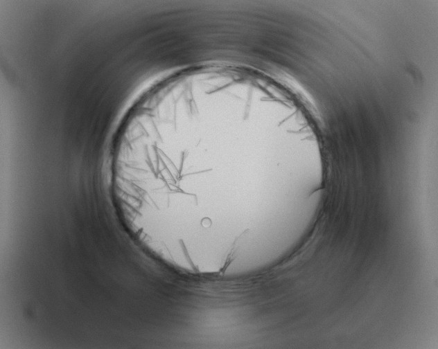 X0000116021376200912312144