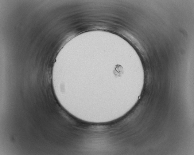 X0000116021377200912312144