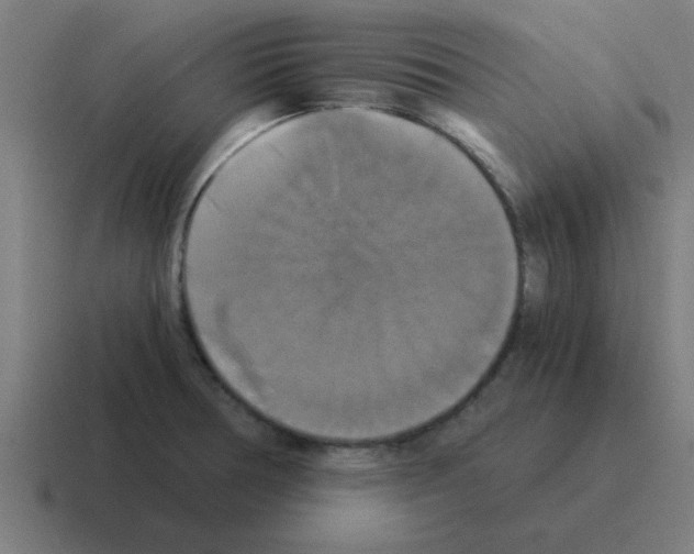 X0000116021378200912312144