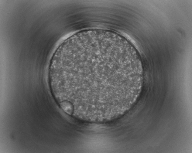 X0000116021379200912312144