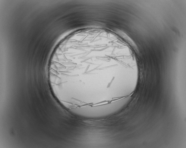 X0000116021380200912312144