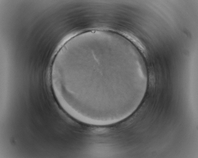 X0000116021382200912312144