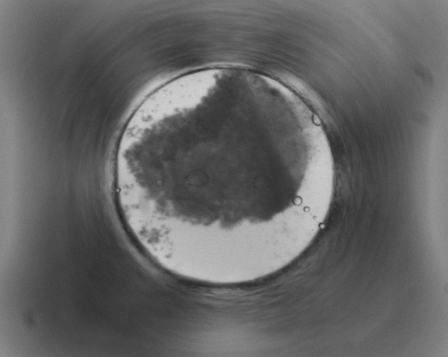 X0000116021383200912312144