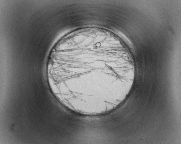 X0000116021384200912312144