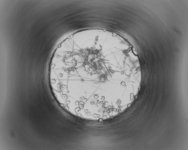 X0000116021387200912312144