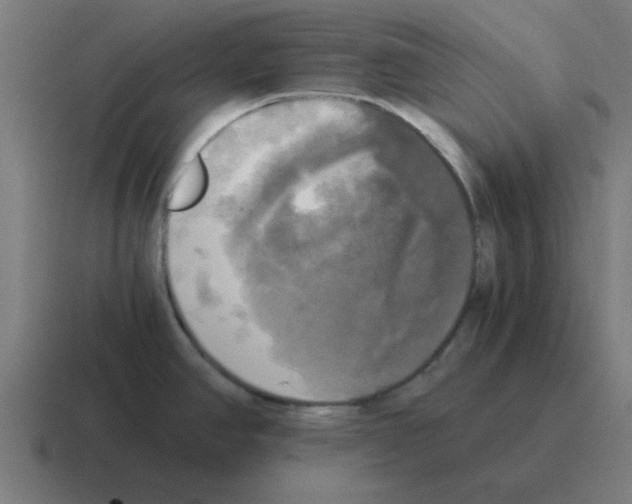 X0000116021390200912312144