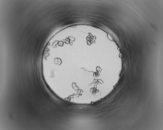 X0000116021391200912312144