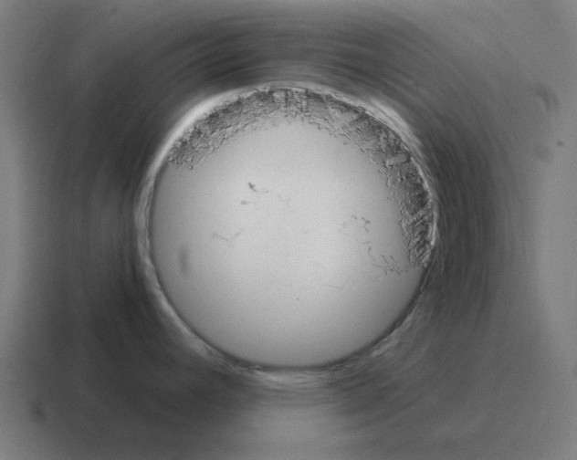 X0000116021392200912312144