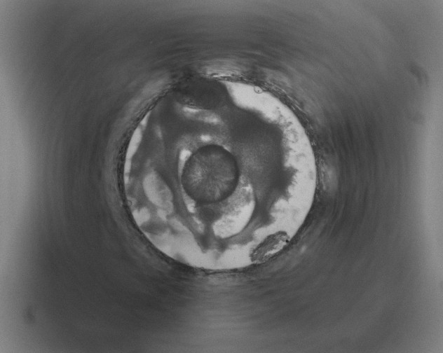 X0000116021393200912312144