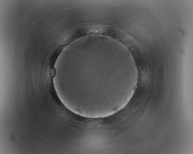 X0000116021394200912312144