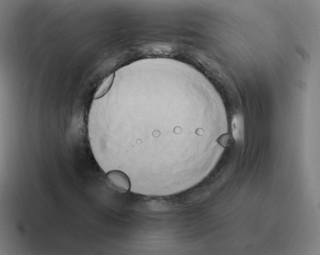 X0000116021395200912312144