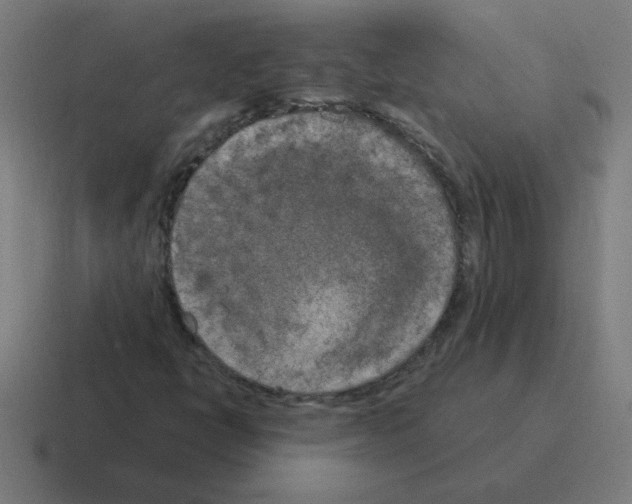 X0000116021398200912312144