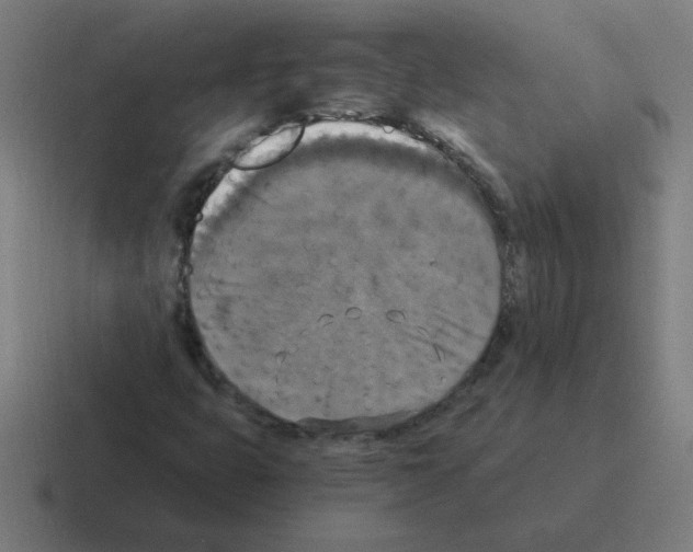 X0000116021399200912312144