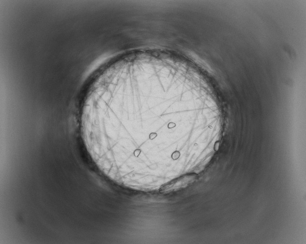 X0000116021400200912312144