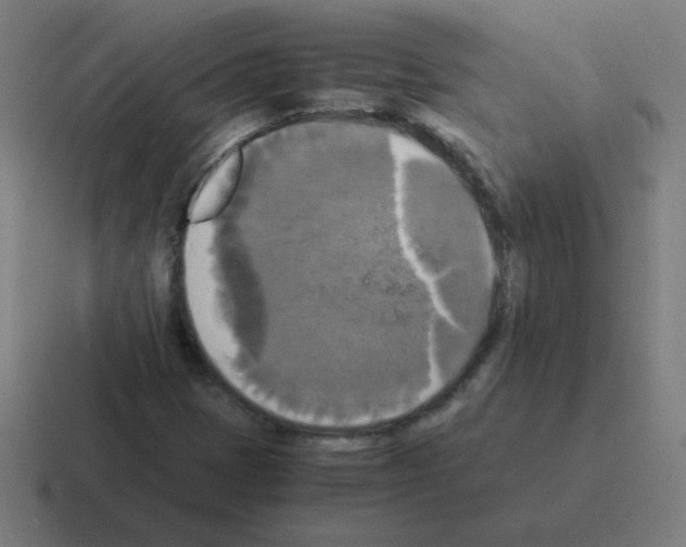 X0000116021401200912312144