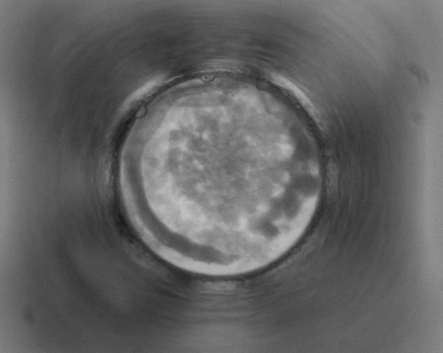 X0000116021403200912312144