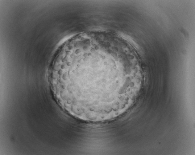 X0000116021404200912312144