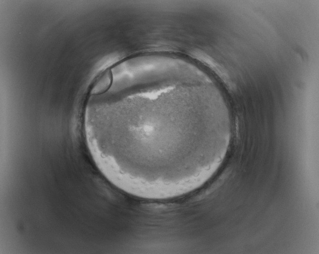 X0000116021405200912312144