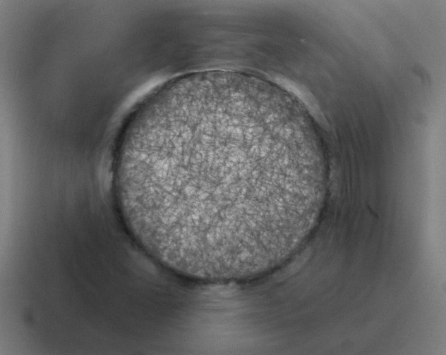 X0000116021406200912312144