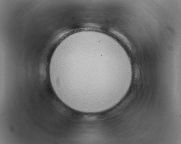 X0000116021407200912312144