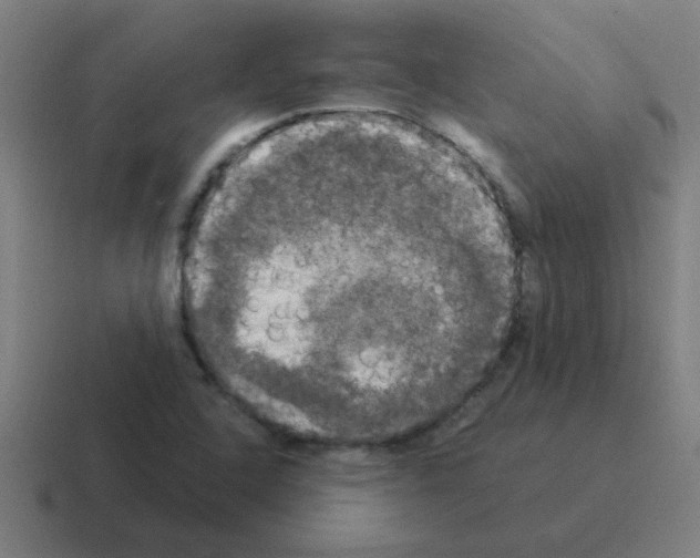 X0000116021408200912312144