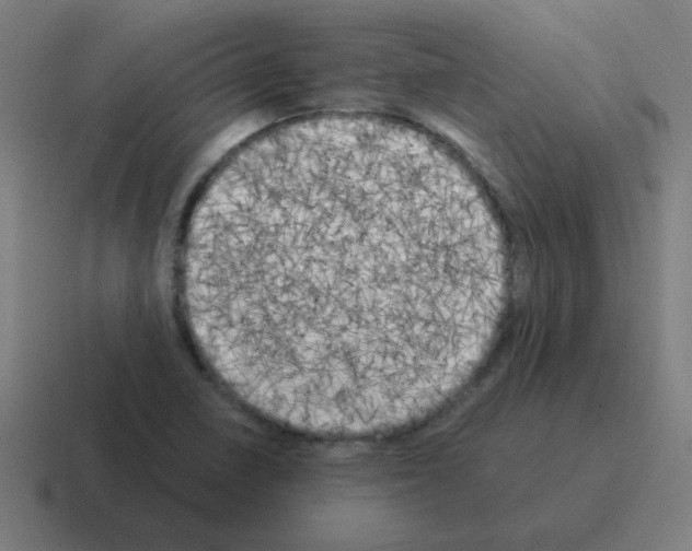 X0000116021410200912312144