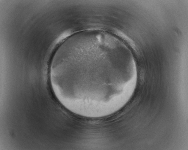 X0000116021411200912312144