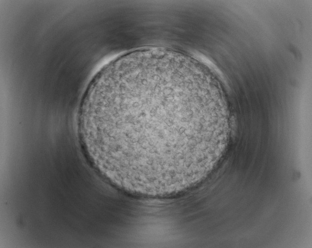 X0000116021412200912312144