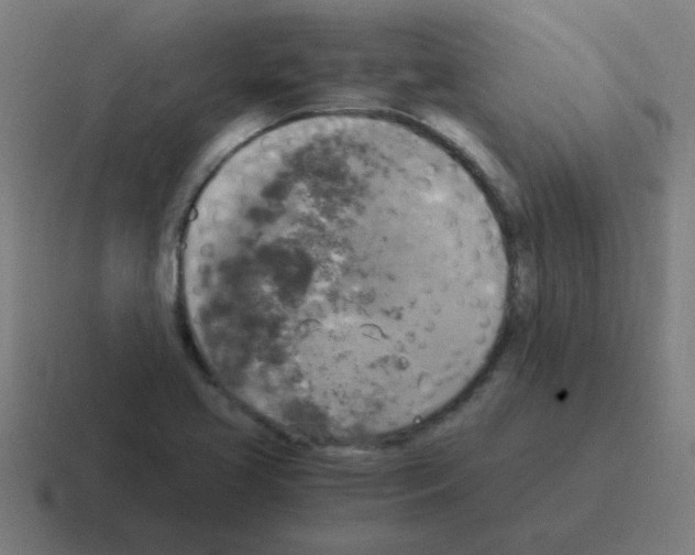 X0000116021413200912312144