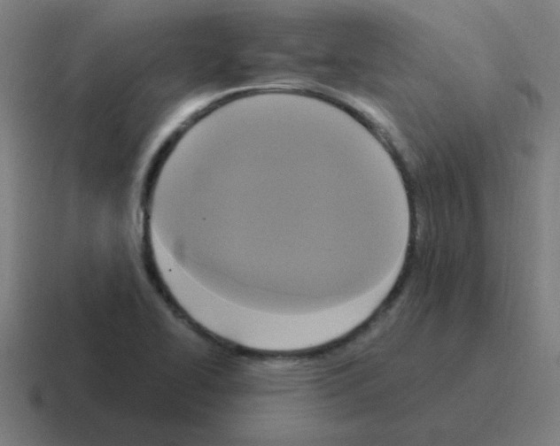 X0000116021414200912312144