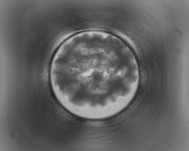 X0000116021415200912312144