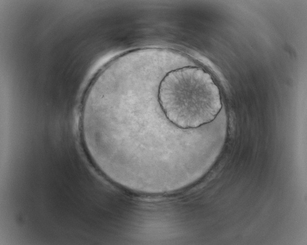 X0000116021416200912312144