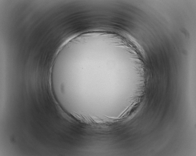 X0000116021417200912312144