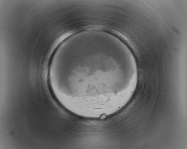 X0000116021418200912312144