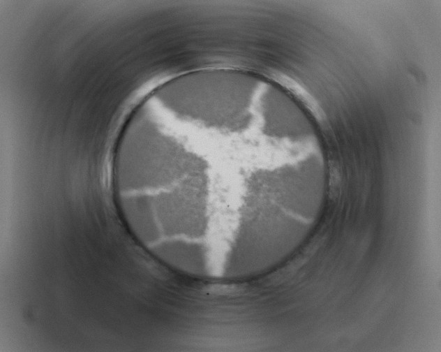 X0000116021419200912312144