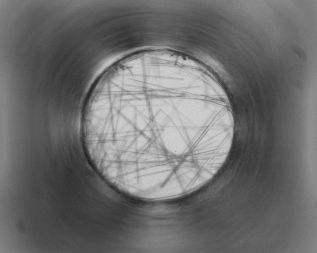 X0000116021420200912312144