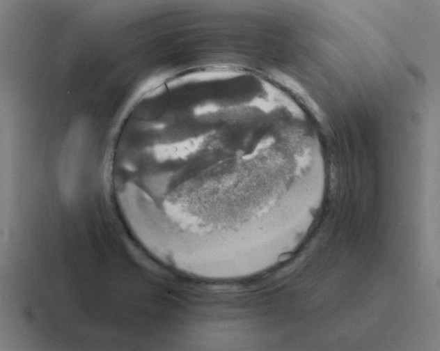 X0000116021421200912312144