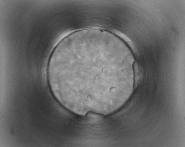 X0000116021423200912312144