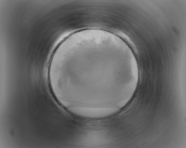 X0000116021424200912312144