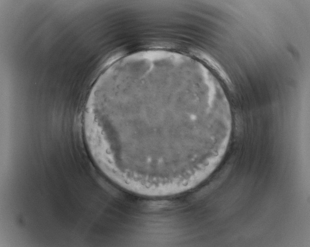 X0000116021425200912312144