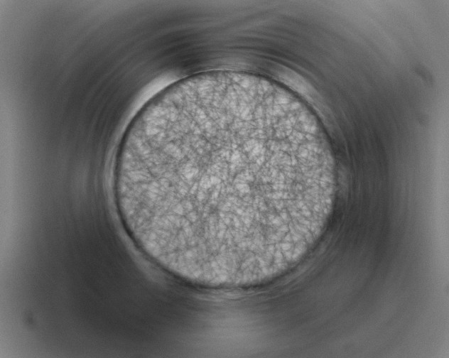 X0000116021426200912312144