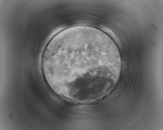 X0000116021427200912312144